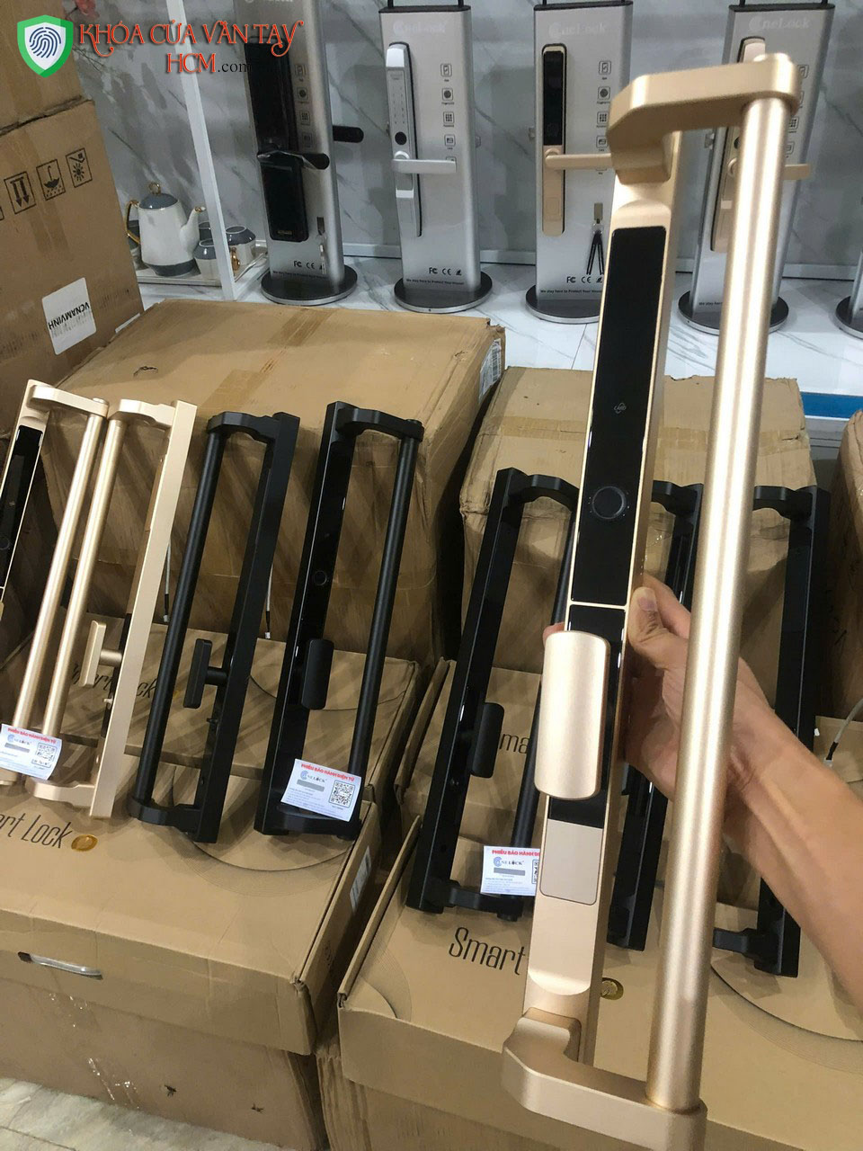 Các mẫu khóa cửa điện tử, khóa cửa vân tay tại HCM mới nhất