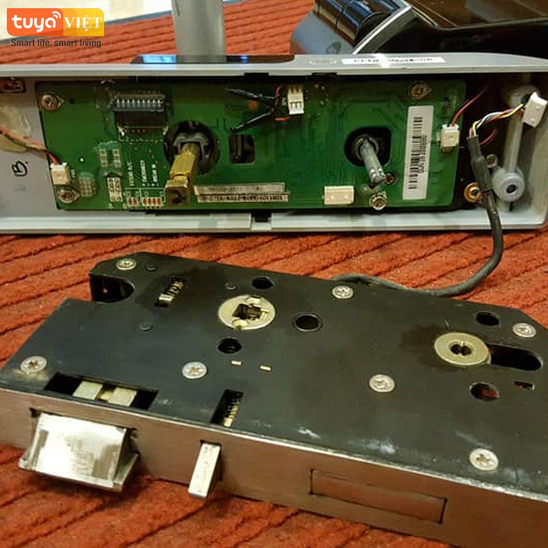 Khoa cua dien tu Hai Phong