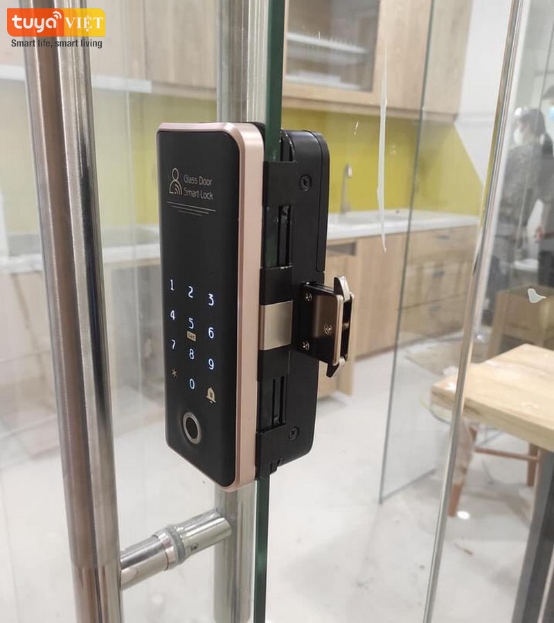 Khóa cửa vân tay Hải Phòng - Lắp cho cửa kính cường lực