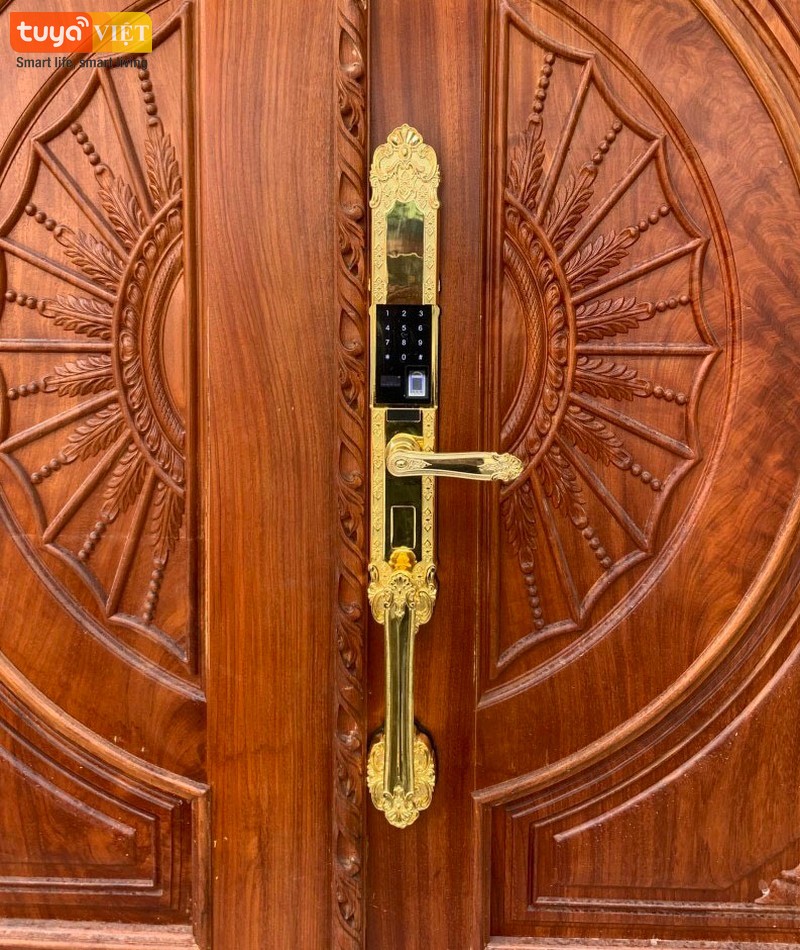 Khóa cửa vân tay cao cấp Bắc Giang - Lắp cho cửa biệt thự