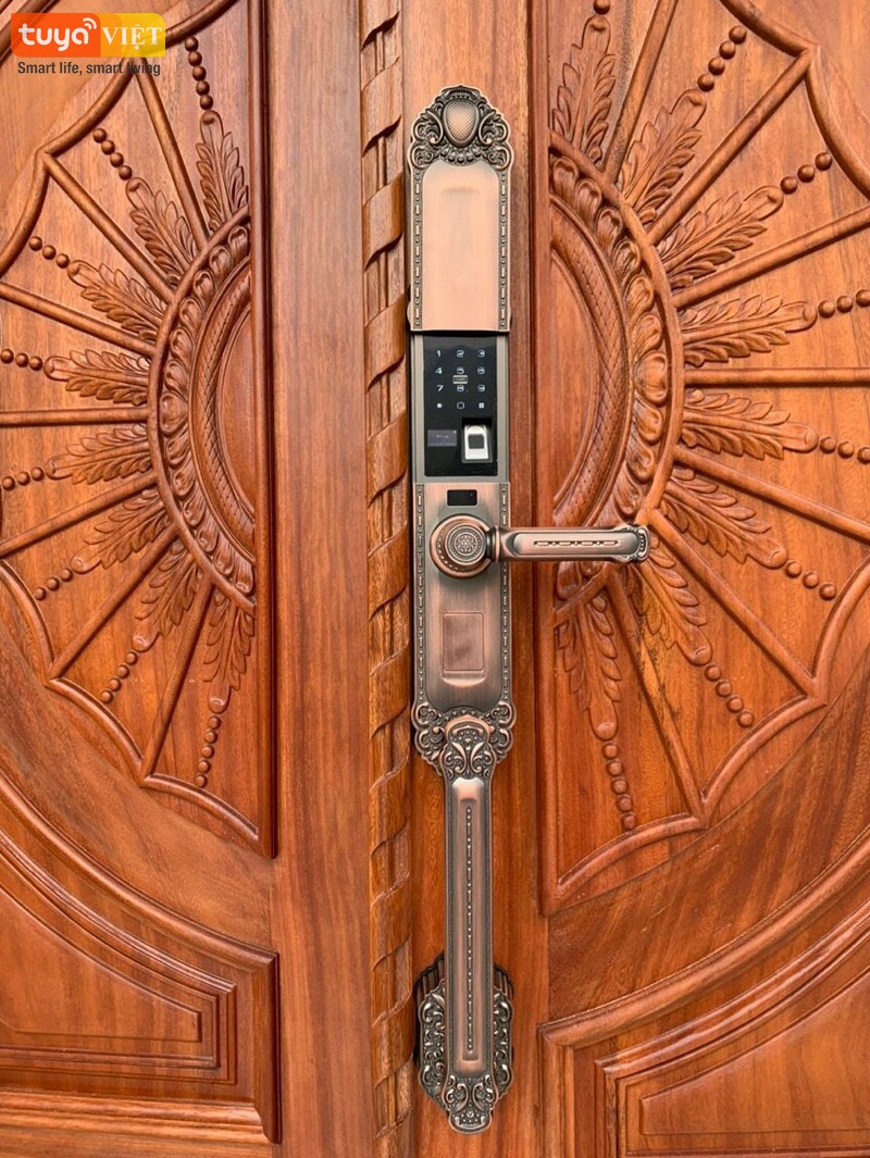 Khóa vân tay cổ điển Thái Nguyên - Lắp cho cửa gỗ