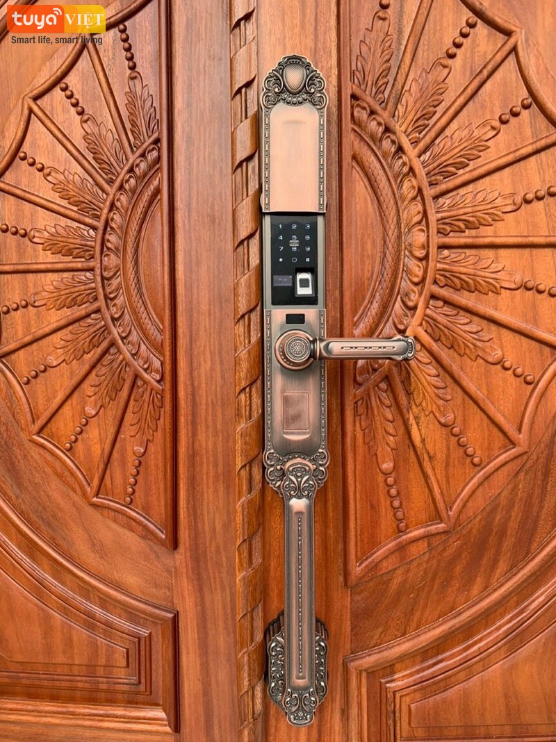 Lap mau khoa van tay co dien cho khach tai Ninh Thuan